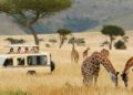 African Safari Tour Operator | Reliable African Safari Company