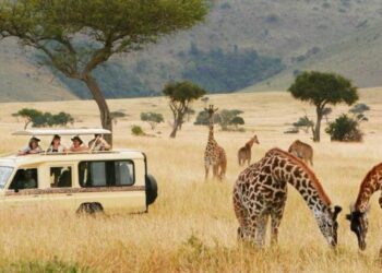 African Safari Tour Operator | Reliable African Safari Company