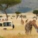 African Safari Tour Operator | Reliable African Safari Company